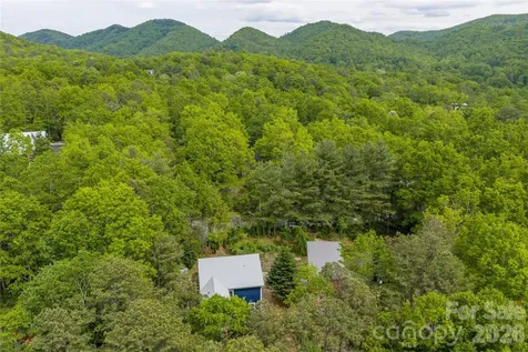 14 Locust Street Black Mountain NC 28711