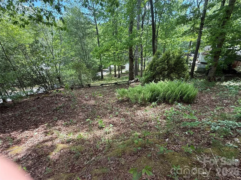 39 Lisa Court Otto NC 28763