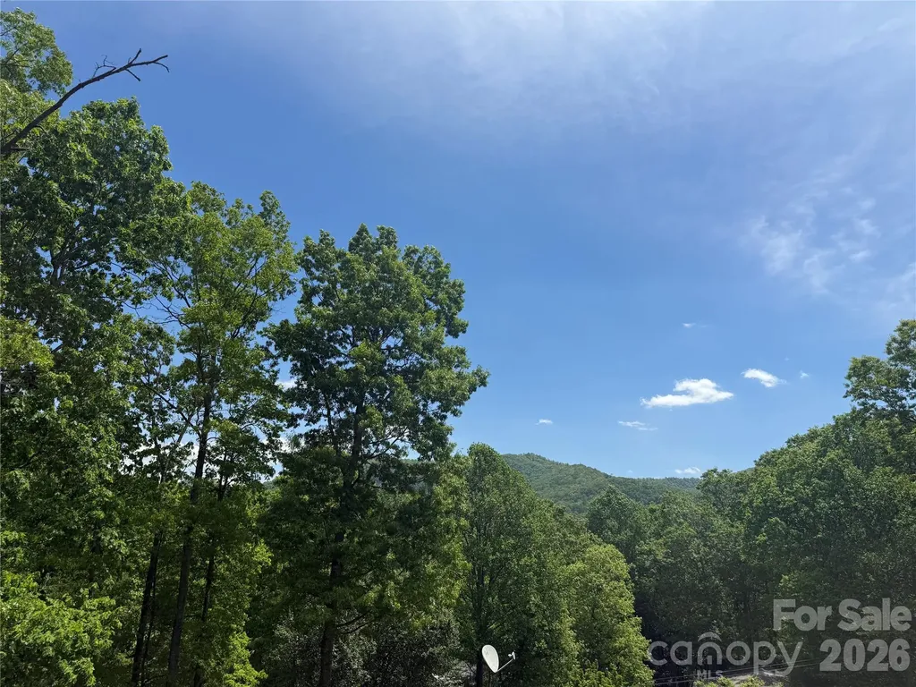 39 Lisa Court Otto NC 28763