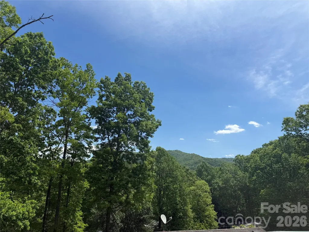 39 Lisa Court Otto NC 28763