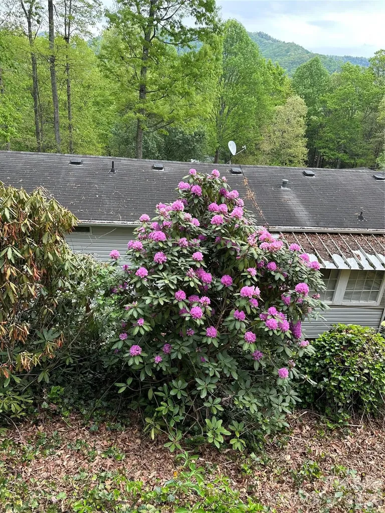 39 Lisa Court Otto NC 28763