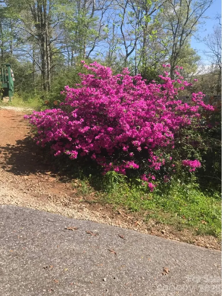 39 Lisa Court Otto NC 28763