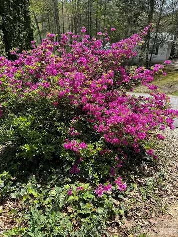 39 Lisa Court Otto NC 28763