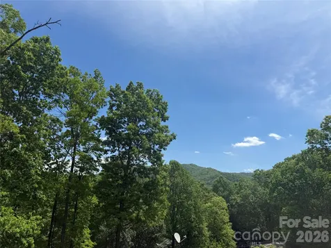 39 Lisa Court Otto NC 28763