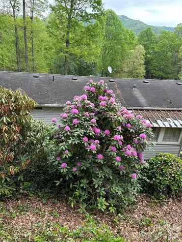 39 Lisa Court Otto NC 28763