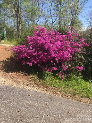 39 Lisa Court Otto NC 28763