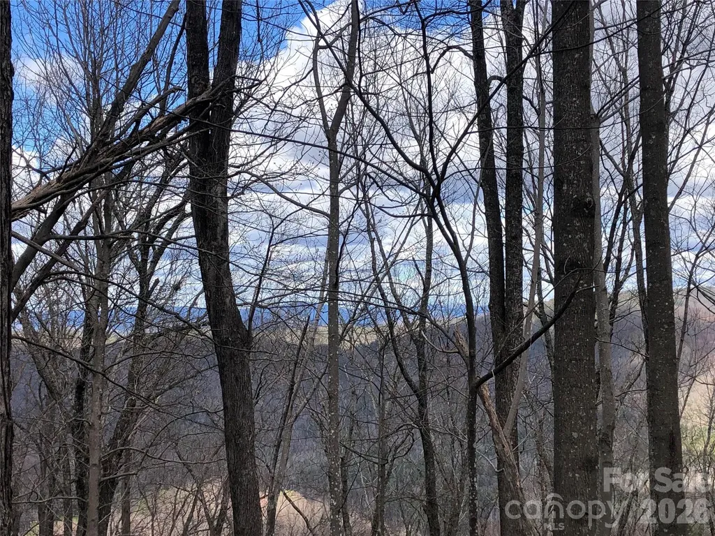 Tbd Bobcat Mountain Road Purlear NC 28665