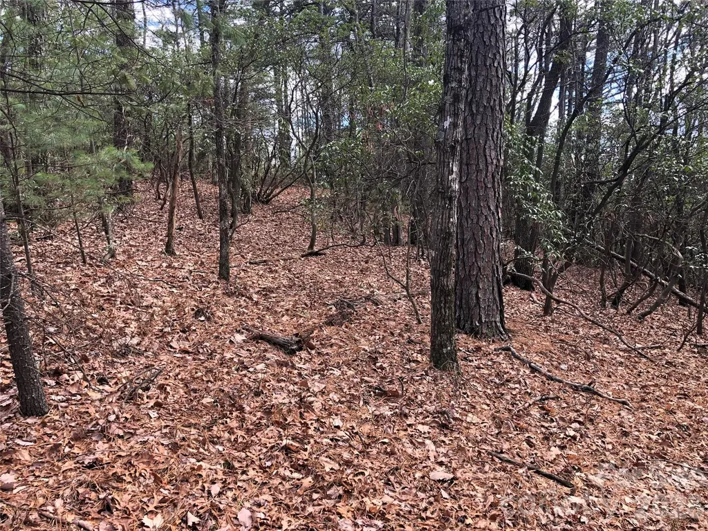 Tbd Bobcat Mountain Road Purlear NC 28665