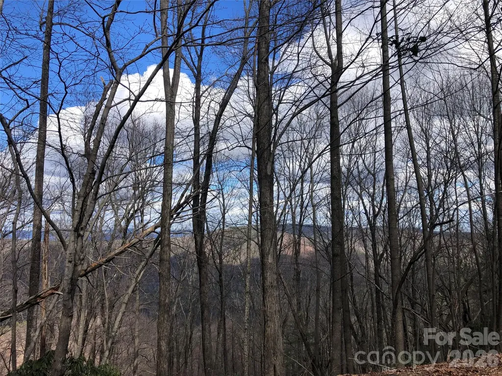 Tbd Bobcat Mountain Road Purlear NC 28665