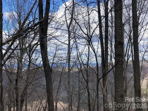Tbd Bobcat Mountain Road Purlear NC 28665
