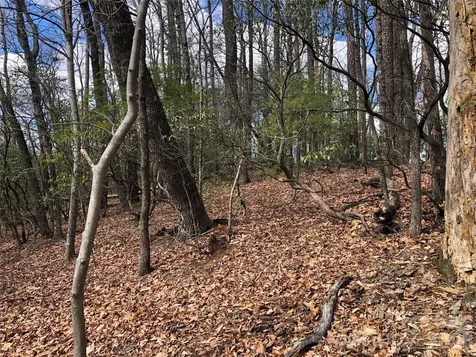 Tbd Bobcat Mountain Road Purlear NC 28665