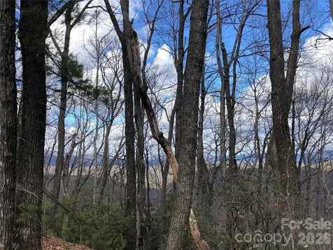 Tbd Bobcat Mountain Road Purlear NC 28665