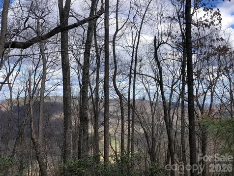 Tbd Bobcat Mountain Road Purlear NC 28665
