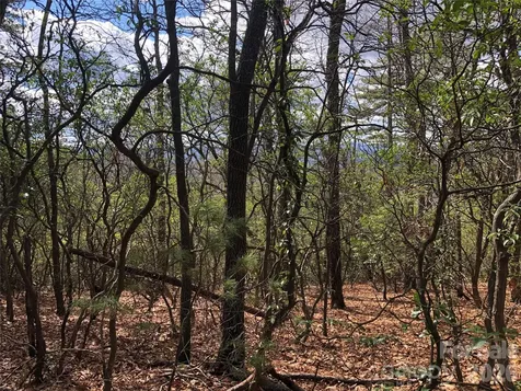 Tbd Bobcat Mountain Road Purlear NC 28665