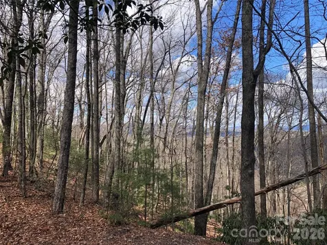 Tbd Bobcat Mountain Road Purlear NC 28665