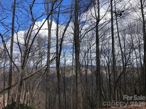 Tbd Bobcat Mountain Road Purlear NC 28665