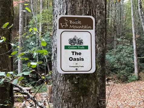 Tbd Bobcat Mountain Road Purlear NC 28665