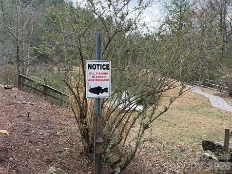 Tbd Bobcat Mountain Road Purlear NC 28665