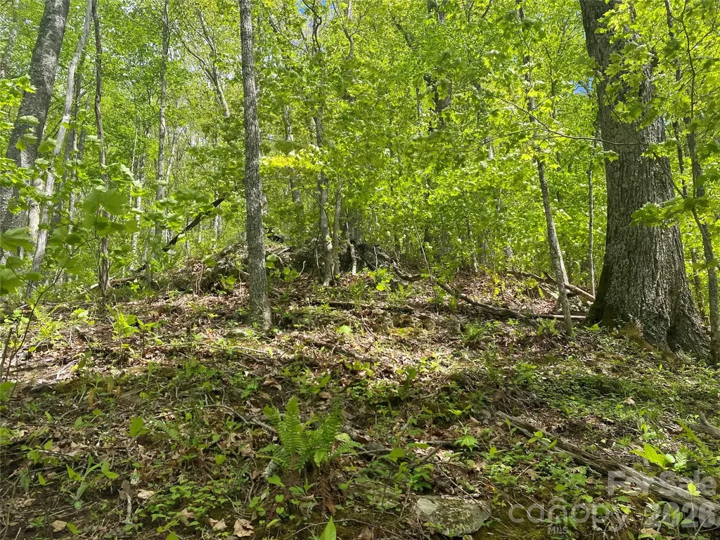 Tbd Us 23 Highway Mars Hill NC 28754