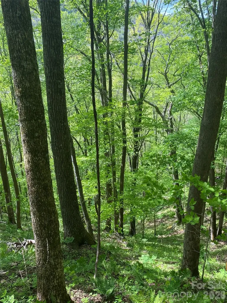 Tbd Us 23 Highway Mars Hill NC 28754