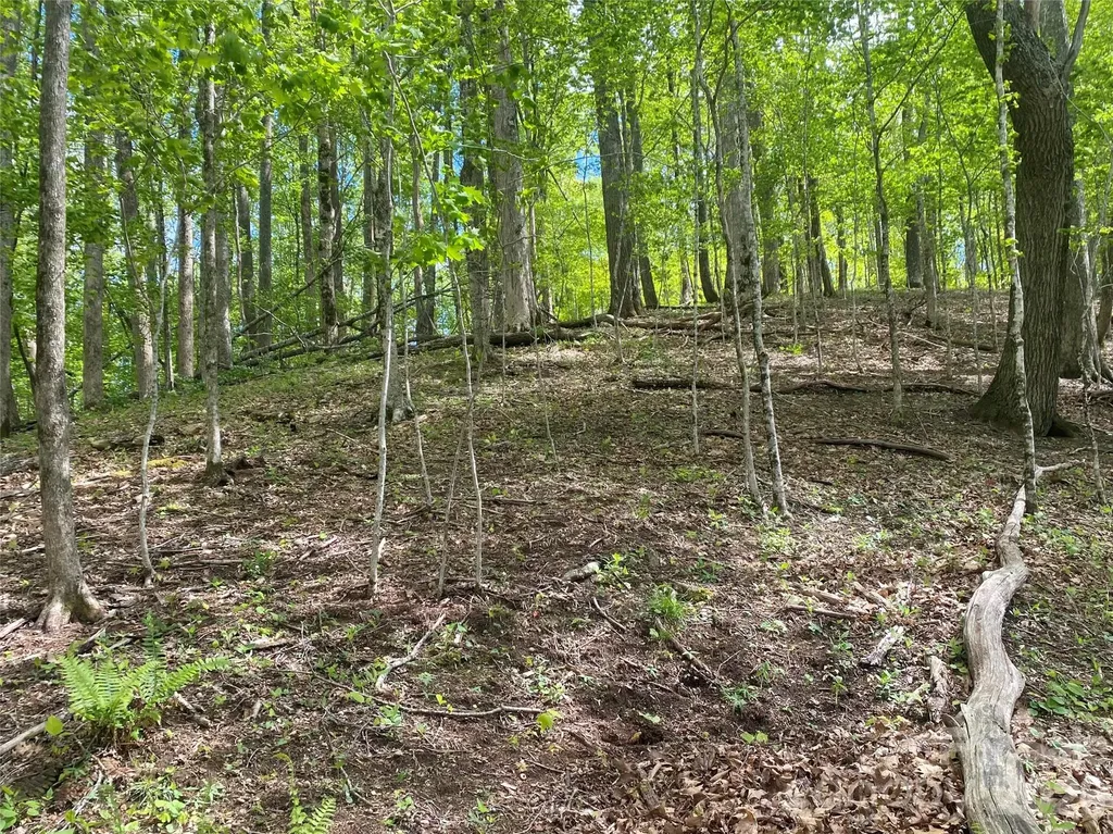 Tbd Us 23 Highway Mars Hill NC 28754