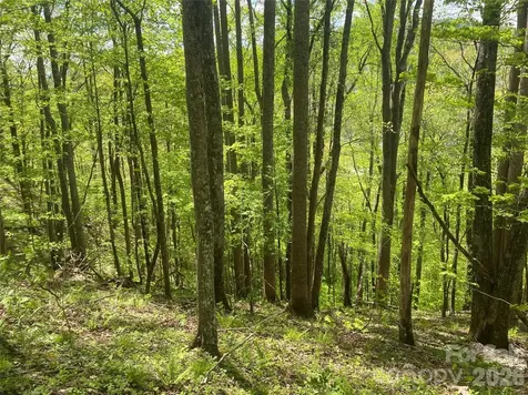 Tbd Us 23 Highway Mars Hill NC 28754