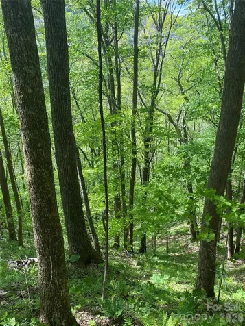 Tbd Us 23 Highway Mars Hill NC 28754