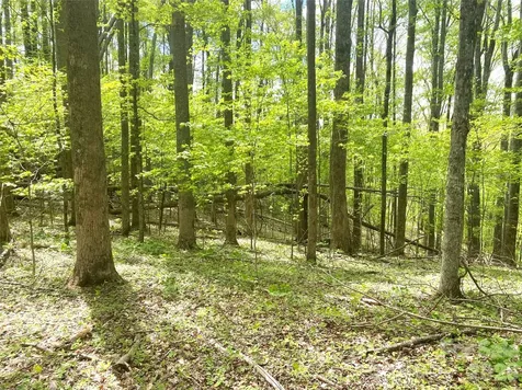 Tbd Us 23 Highway Mars Hill NC 28754