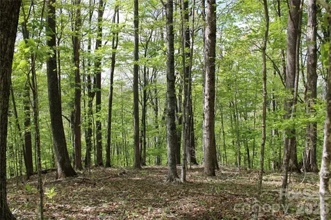 Tbd Us 23 Highway Mars Hill NC 28754