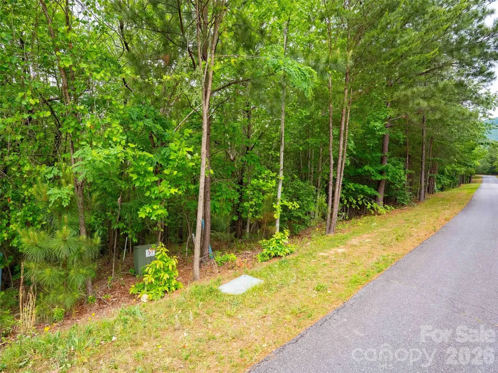 Lot 2009 Deep Gap Farm Road W Mill Spring NC 28756