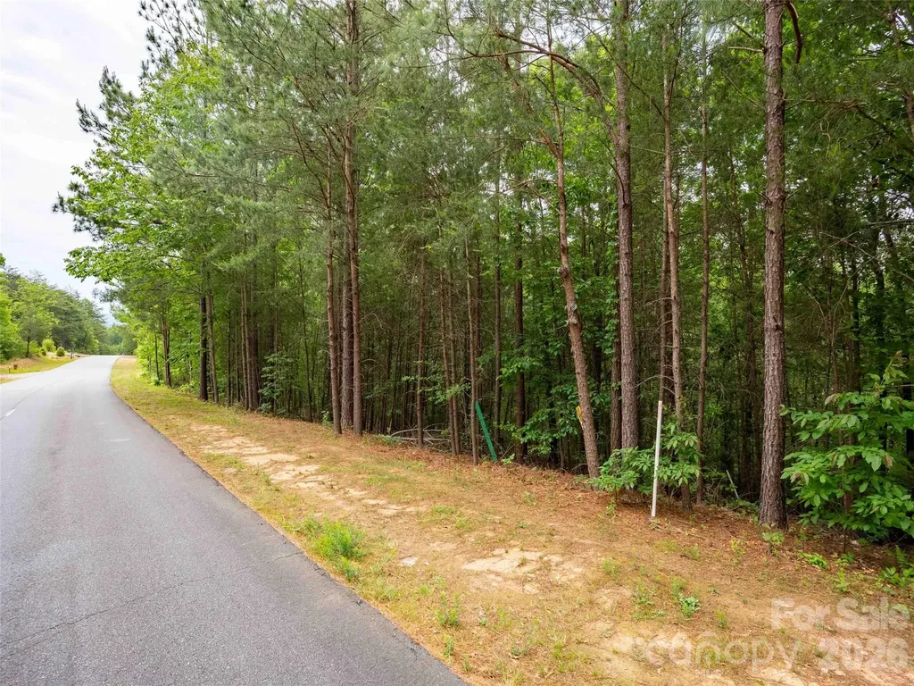 Lot 2009 Deep Gap Farm Road W Mill Spring NC 28756