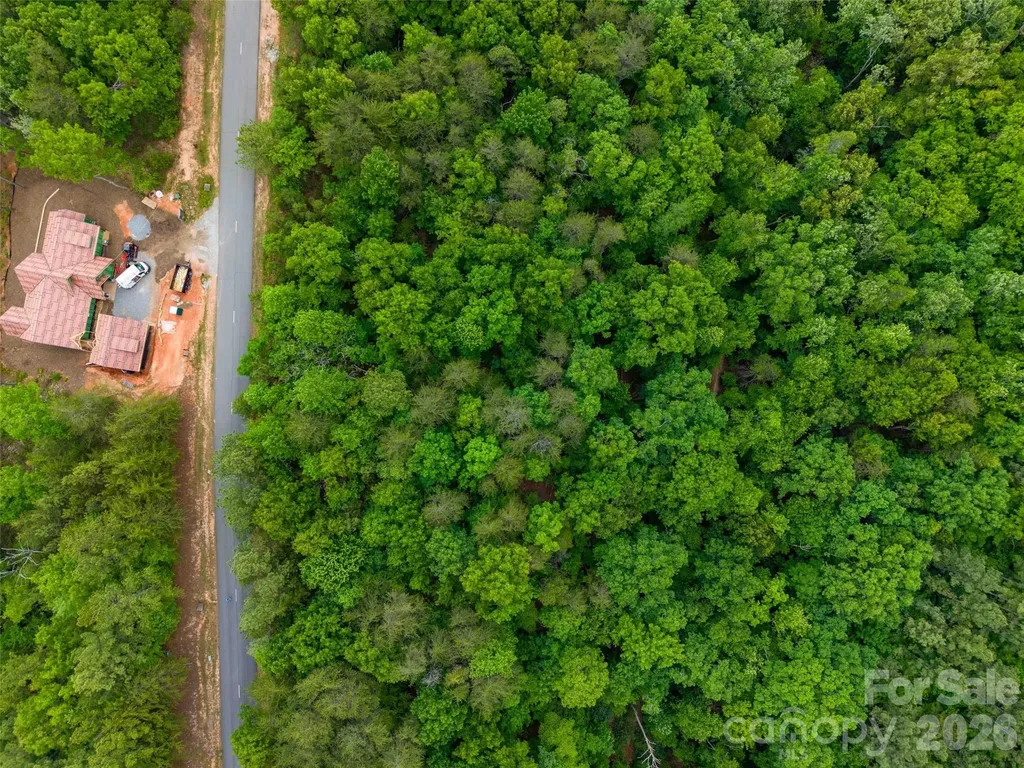 Lot 2009 Deep Gap Farm Road W Mill Spring NC 28756