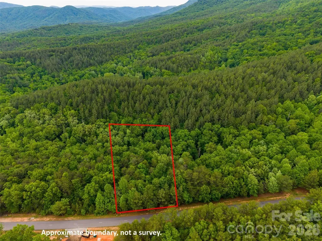 Lot 2009 Deep Gap Farm Road W Mill Spring NC 28756