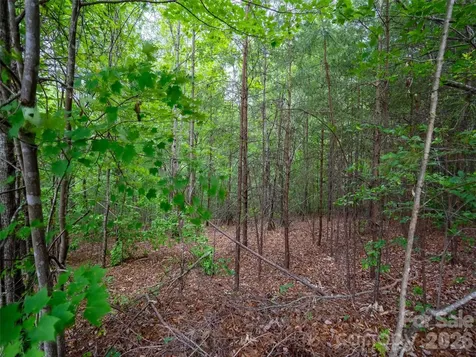 Lot 2009 Deep Gap Farm Road W Mill Spring NC 28756