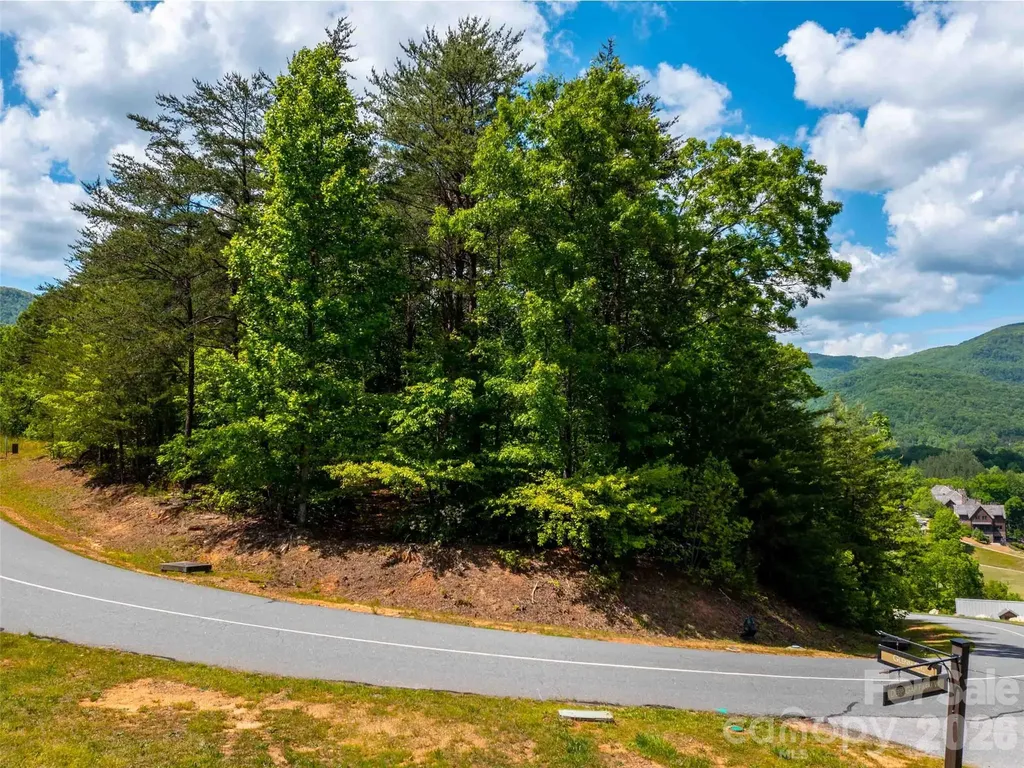 Lot 2012 Deep Gap Farm Road E Mill Spring NC 28756