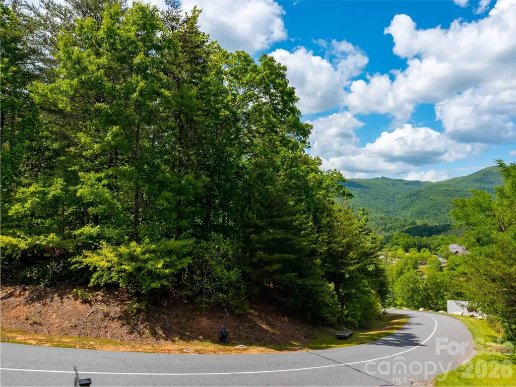 Lot 2012 Deep Gap Farm Road E Mill Spring NC 28756