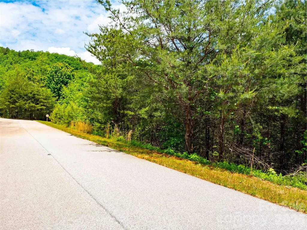 Lot 150 Birkdale Drive Mill Spring NC 28756