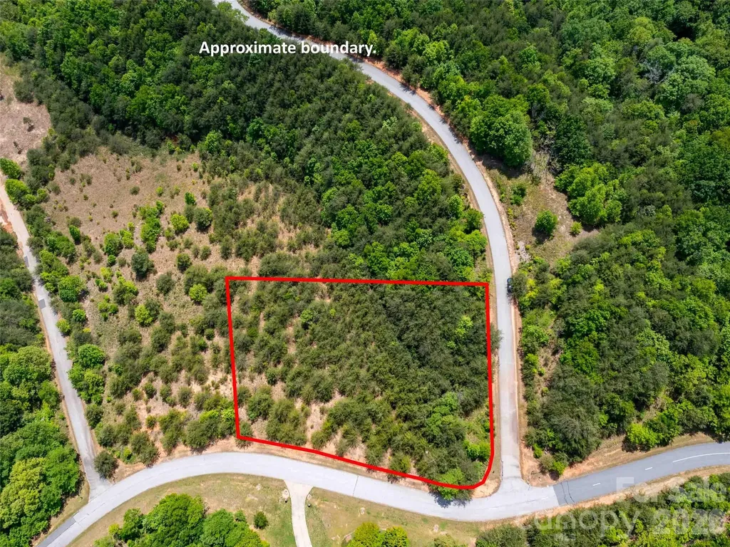 Lot 150 Birkdale Drive Mill Spring NC 28756