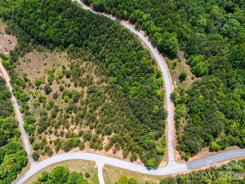 Lot 150 Birkdale Drive Mill Spring NC 28756