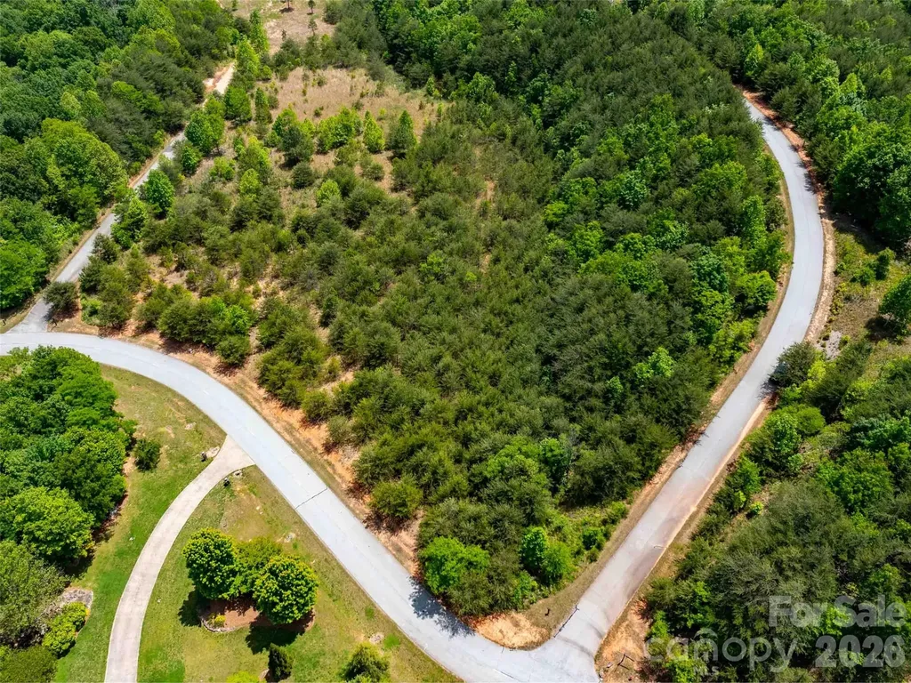 Lot 150 Birkdale Drive Mill Spring NC 28756