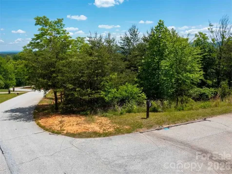 Lot 150 Birkdale Drive Mill Spring NC 28756