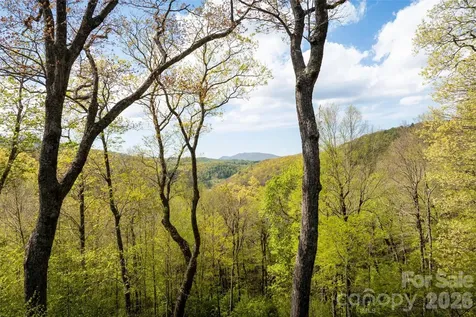 497 Black Locust Circle Blowing Rock NC 28605