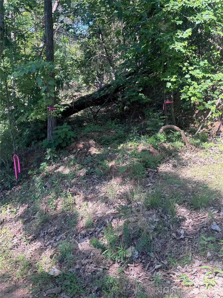 137 Napa Drive Rutherfordton NC 28139