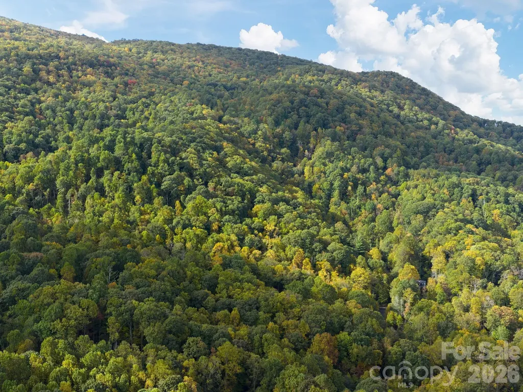 102 Carriage Drive Fairview NC 28730