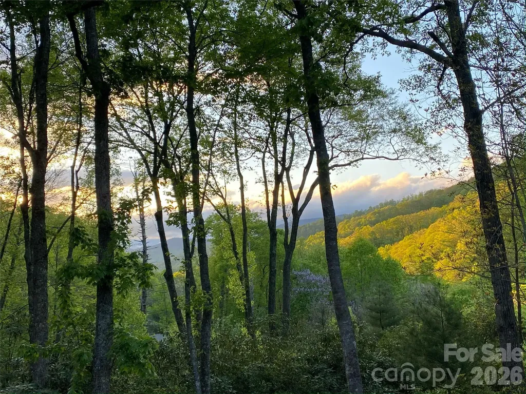 102 Carriage Drive Fairview NC 28730