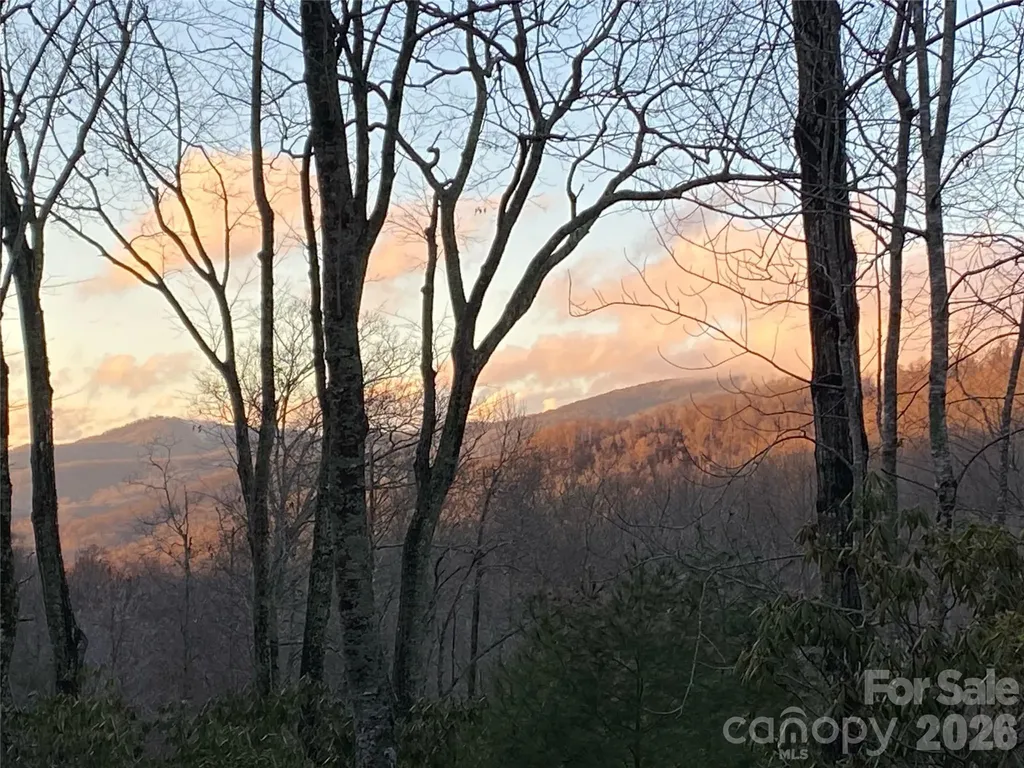 102 Carriage Drive Fairview NC 28730