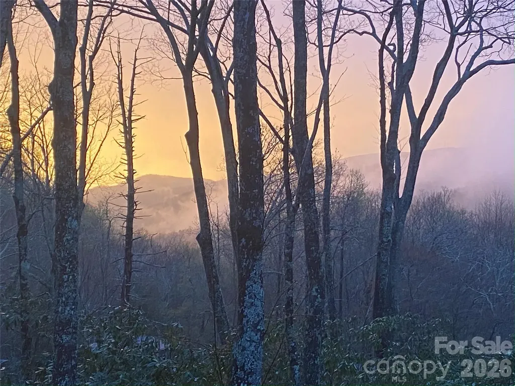 102 Carriage Drive Fairview NC 28730