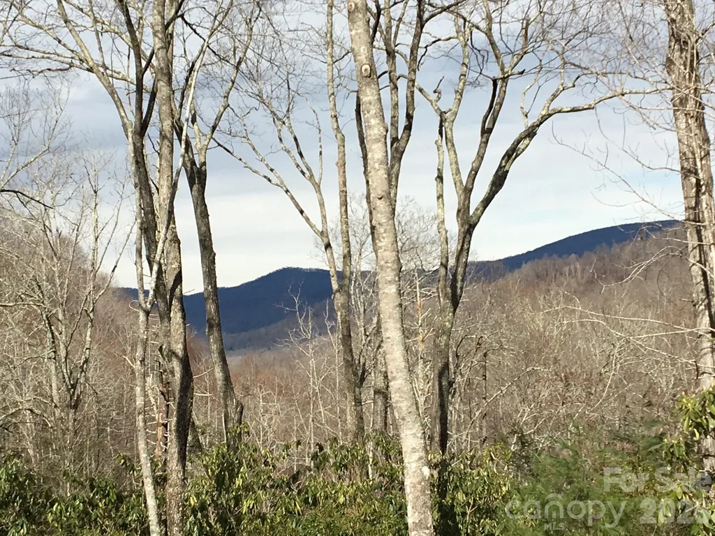 102 Carriage Drive Fairview NC 28730
