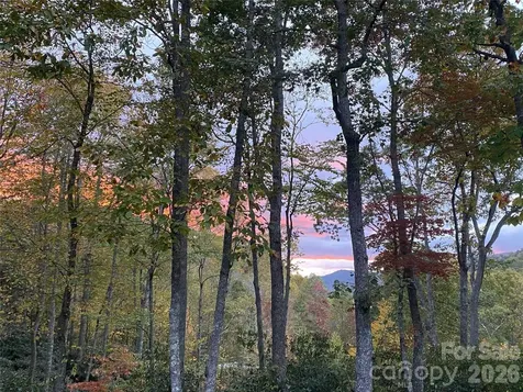 102 Carriage Drive Fairview NC 28730