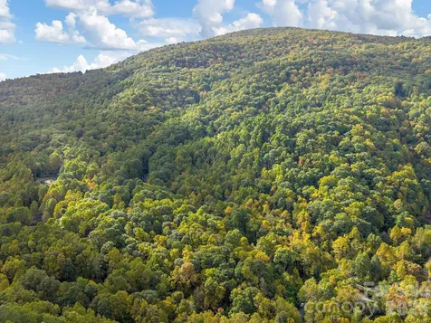 102 Carriage Drive Fairview NC 28730
